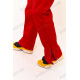 Штаны горнолыжные мужские Tisent 521203 (R02) Красный