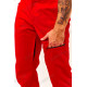 Штаны горнолыжные мужские Tisent 521203 (R02) Красный